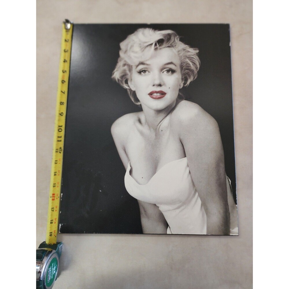 Marilyn Monroe ( 19 X 15 ) picture